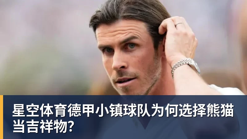 星空体育德甲小镇球队为何选择熊猫当吉祥物？